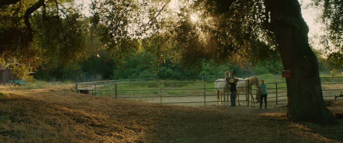 A man and woman standing outside of a corral attach reins to a pair of horses