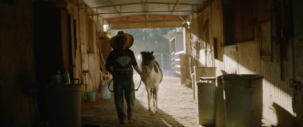 A man in a sunhat leads a donkey through a stable on a sunny day