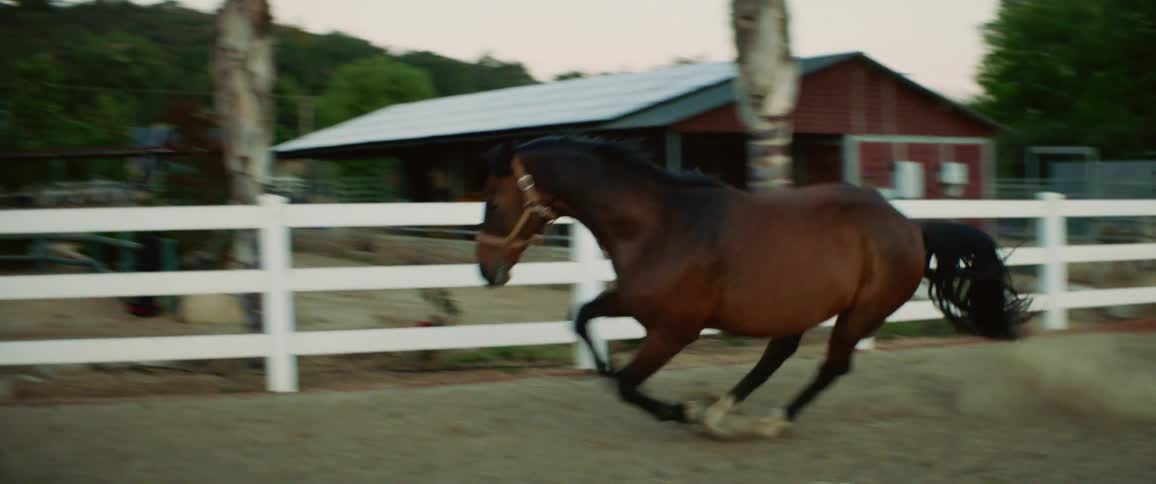 A horse runs around the edge of a farm corral