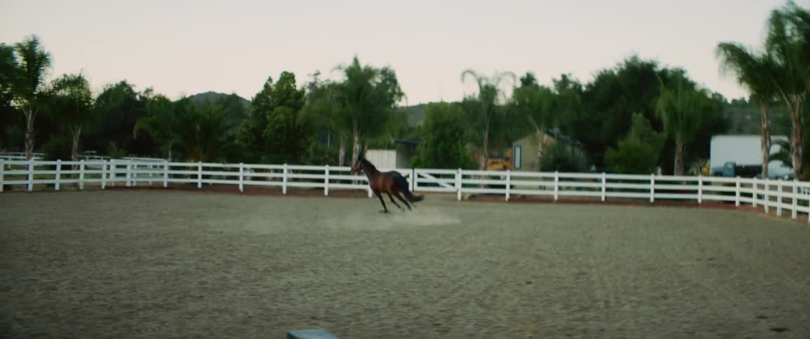 A man watches a horse galloping in a pen
