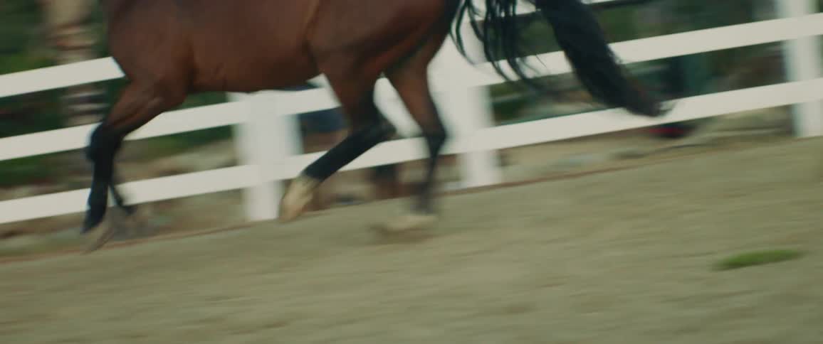 A horse is running in a fenced in area