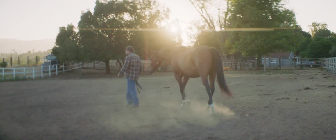 A man walking with a horse with trees and fences in the background