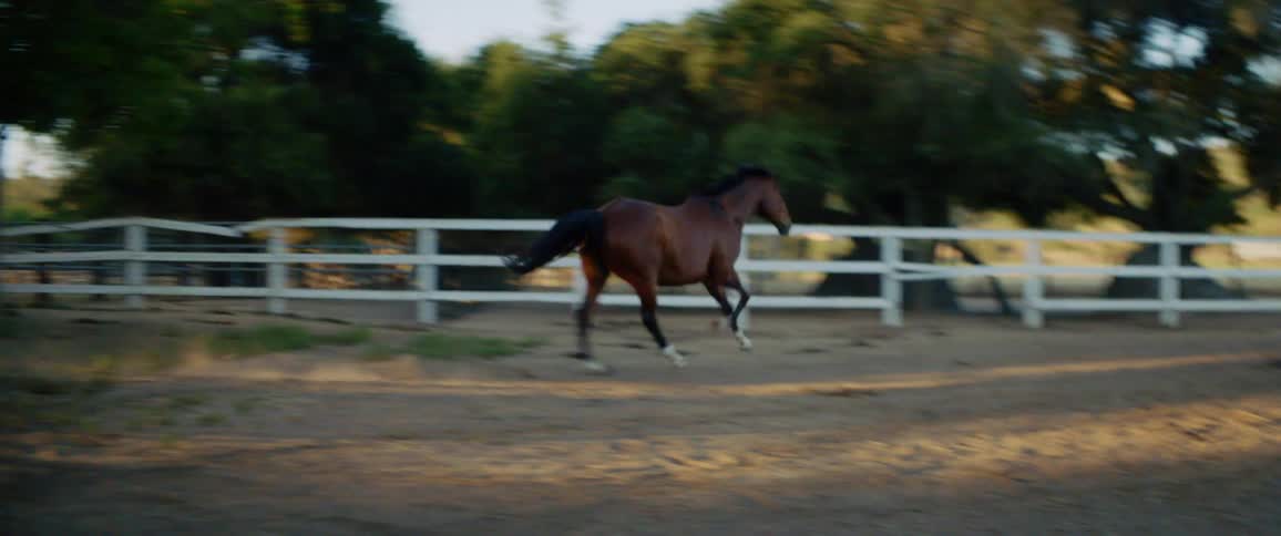 A horse is running outdoors in a fenced in area