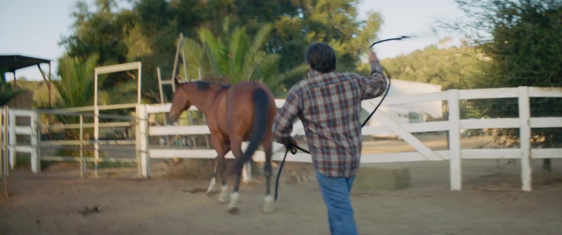 A man trying to lasso a horse with a fence trees and the sky in the background