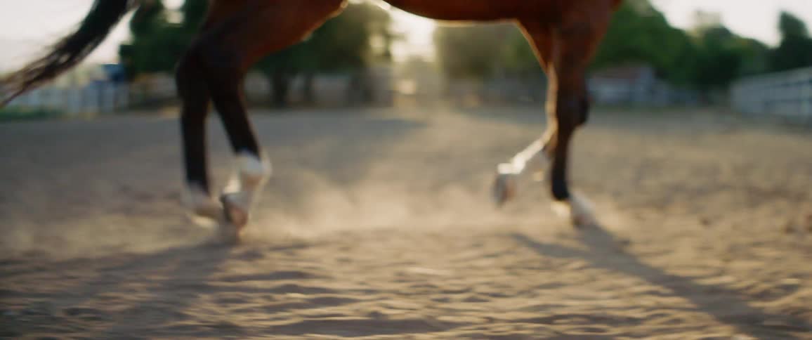 A man runs alongside a horse in a pen on a farm