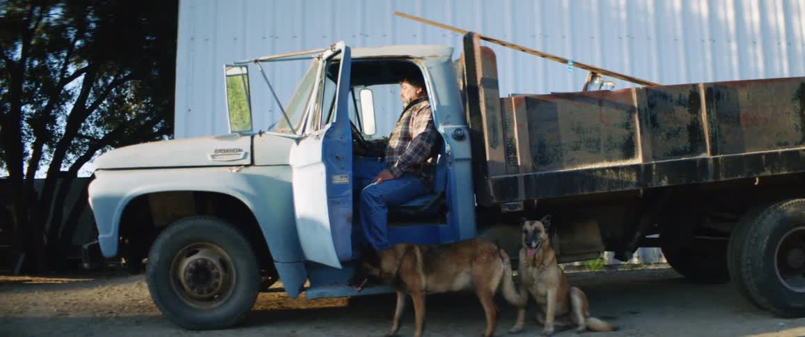A man sits with his eyes closed in the drivers seat of a truck as two dogs wait outside the vehicle