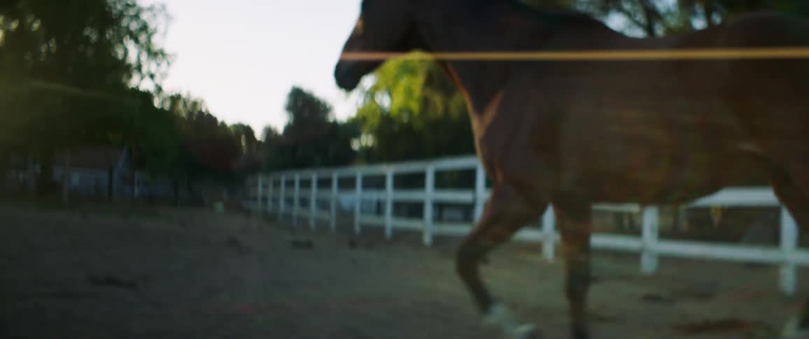 A horse trotting in a pen on a farm