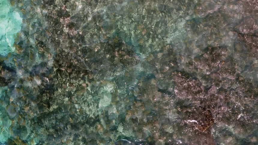 The clear waters of the ocean during the day