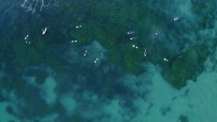 Group of people are surfing in the ocean