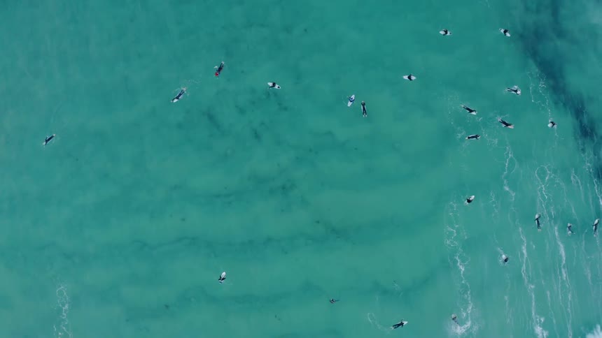 People are swimming in the middle of the ocean