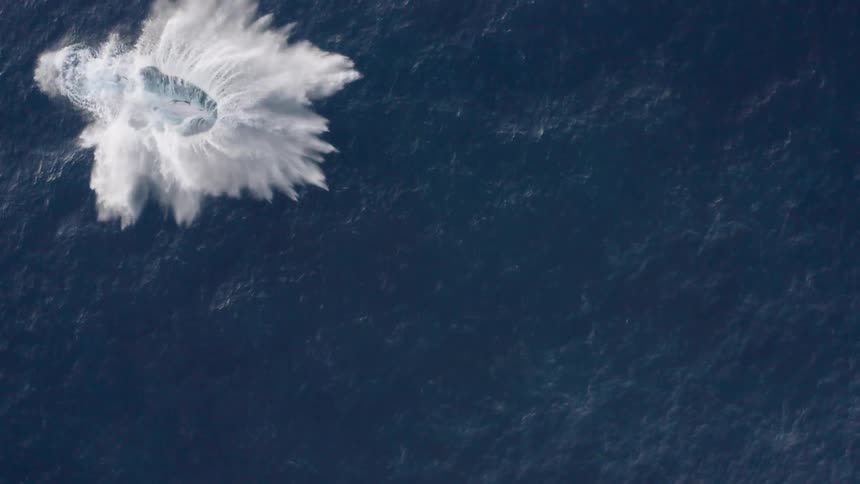 A Whale sends water flying as it twists and turns before jumping into the ocean