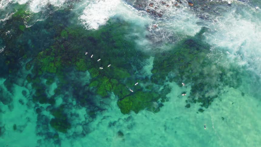 Aerial view of boats in the ocean