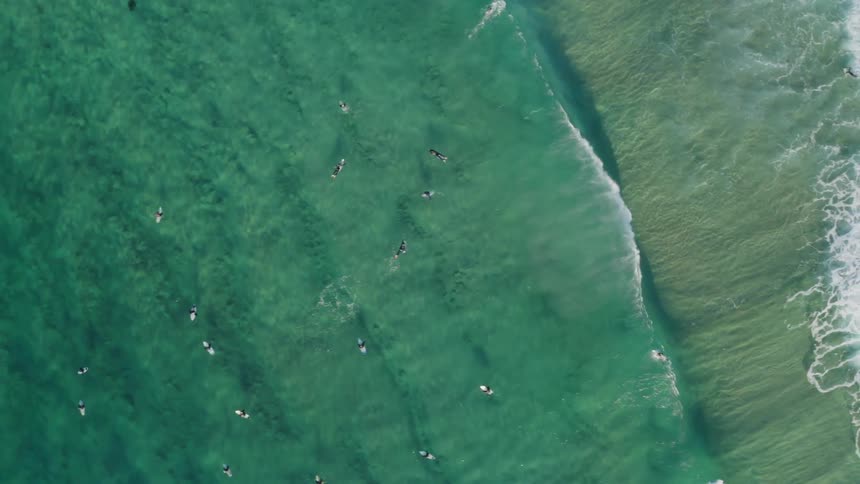 Surfers floating on the clear green sea water near the waves crashing in the coast