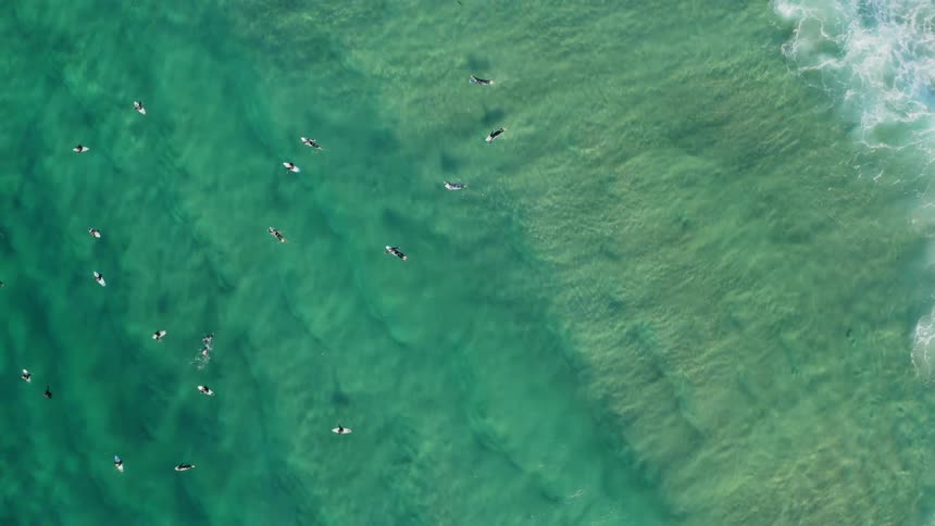 People are surfing in the green waters