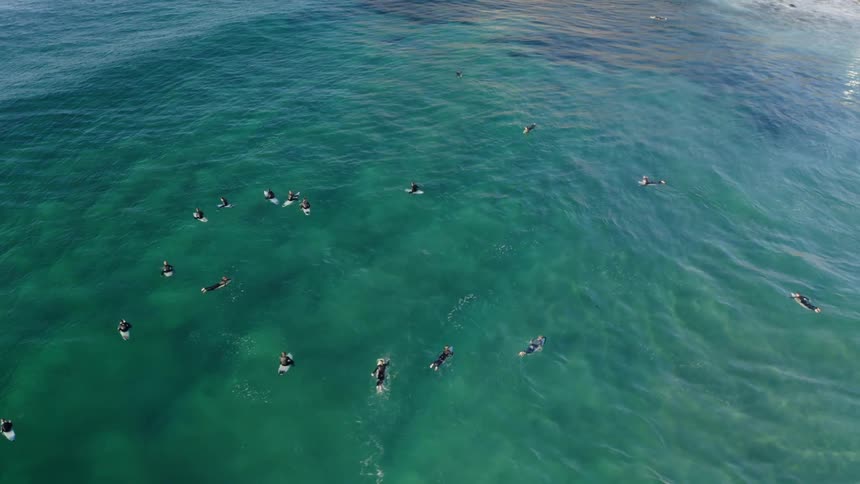 A group of people are surfing in the ocean during the day