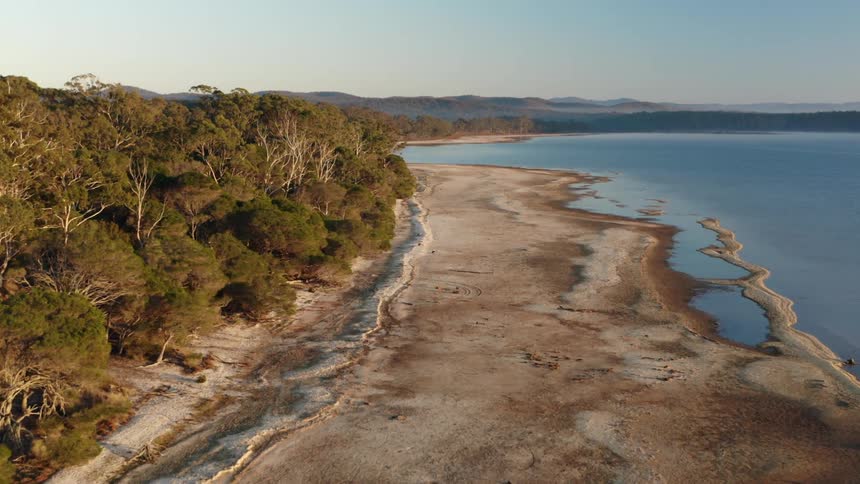 Aerial view of a shoreline with trees