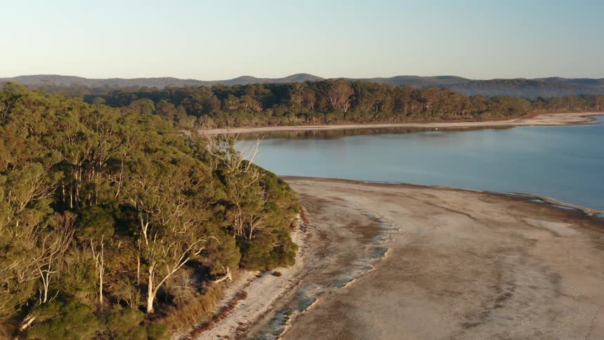 Forest and beach along shore of ocean or large lake