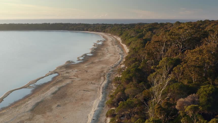 An aerial view of the water and beach with a forest off the beach