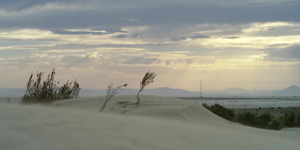 The wind is blowing the sand and grass at sunset