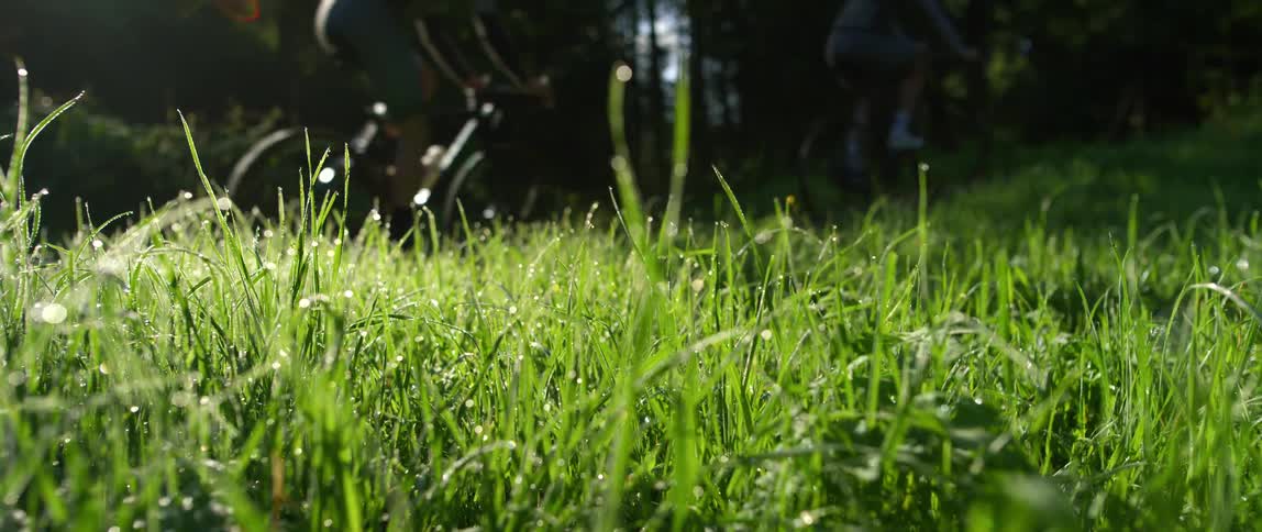 People are biking in the grass