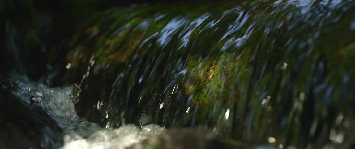 A stream is flowing downstream in spring