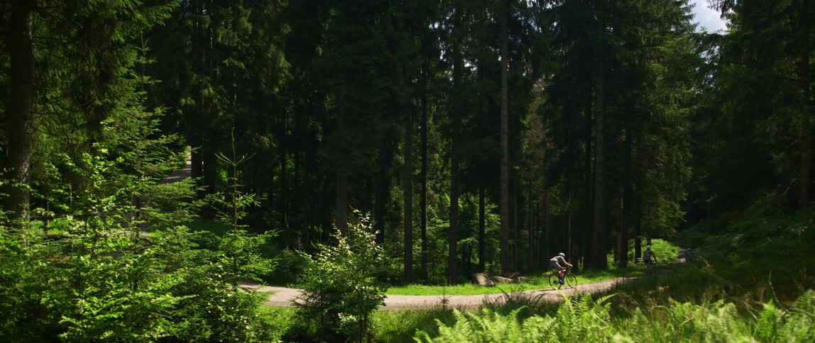 A group of people ride bicycles on a rural pathway