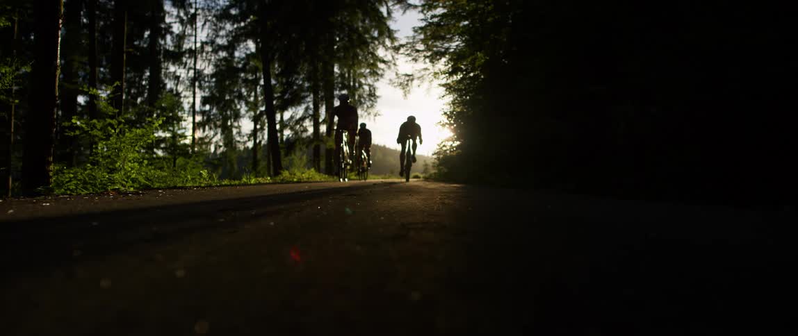 Three people mountain bike through a forest