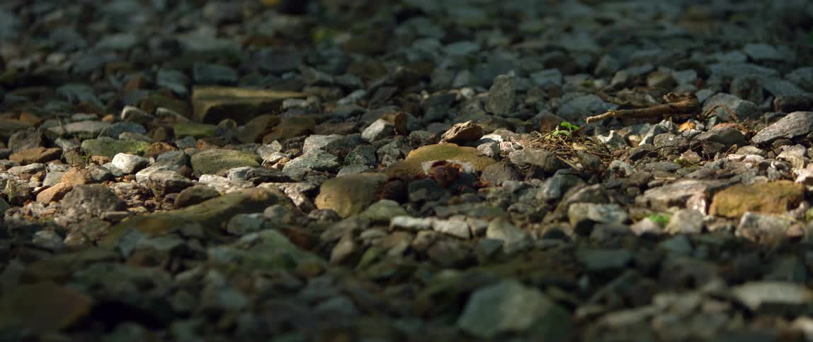 A bicycle rolling over rocks on the ground