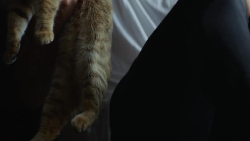 Man picks up a cat and proceeds to pet it