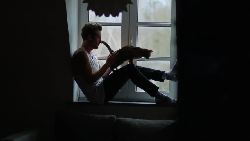 A person is sitting next to a window with their cat