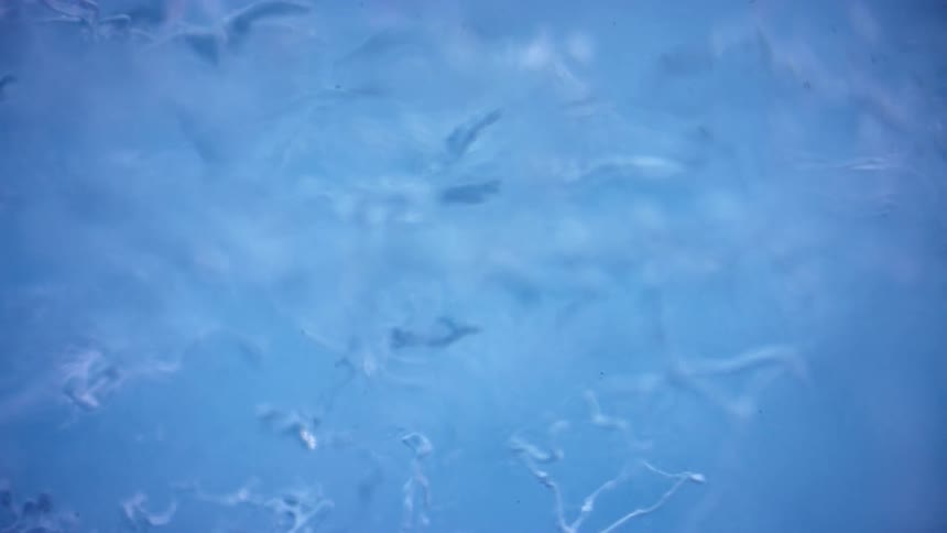Ice and ice crystals outdoors