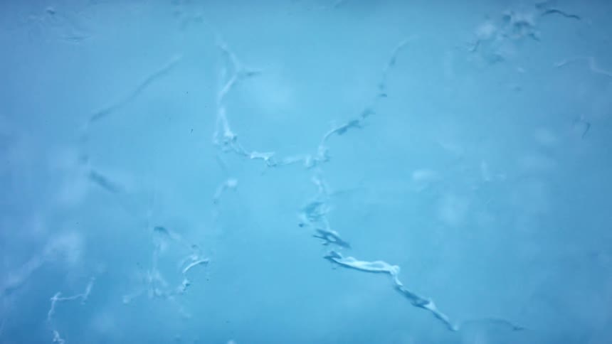 A macro view of ice with cracks and frozen bubbles inside