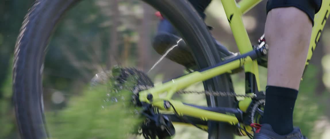 A person is riding a bicycle near the forest