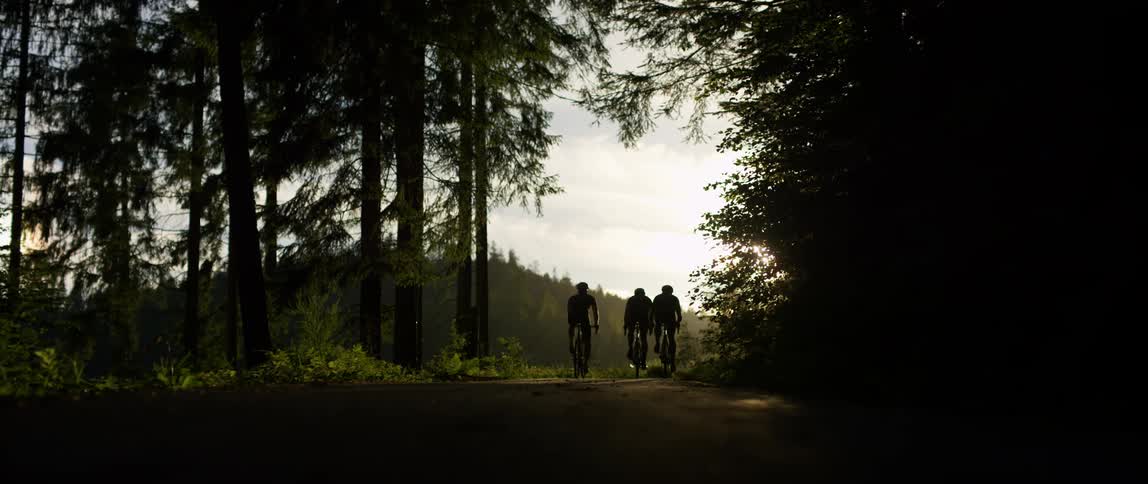 Silhouette of cyclist riding on dirt path through trees in the wilderness