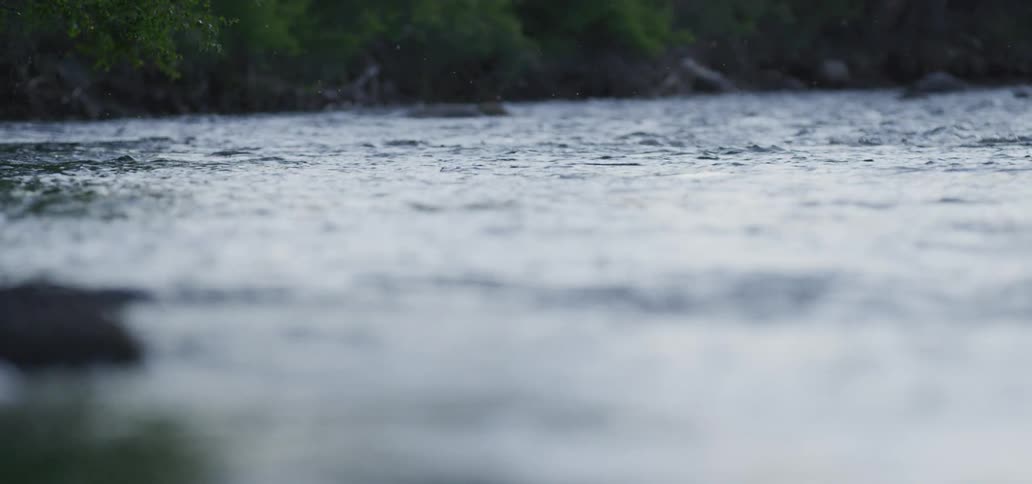 Ripples on a lake