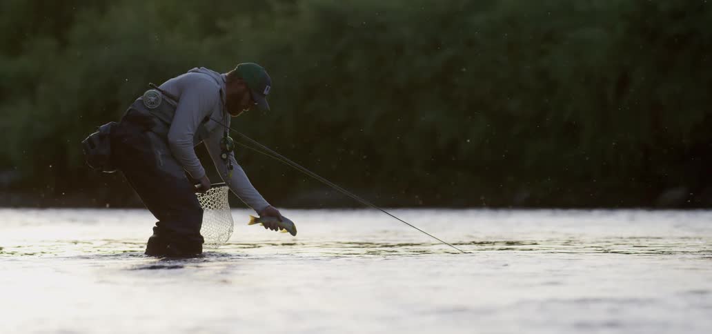 A man with a fishing rod and a net releasing a fish into a river