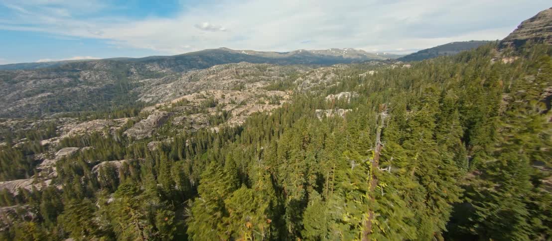An aerial view of a forest with hills in the distance