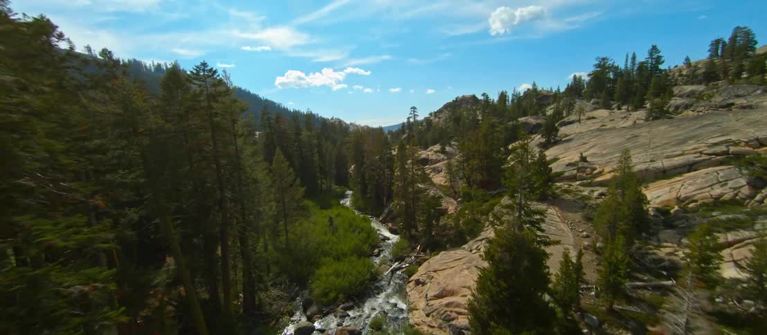 The trees line the side of the stream