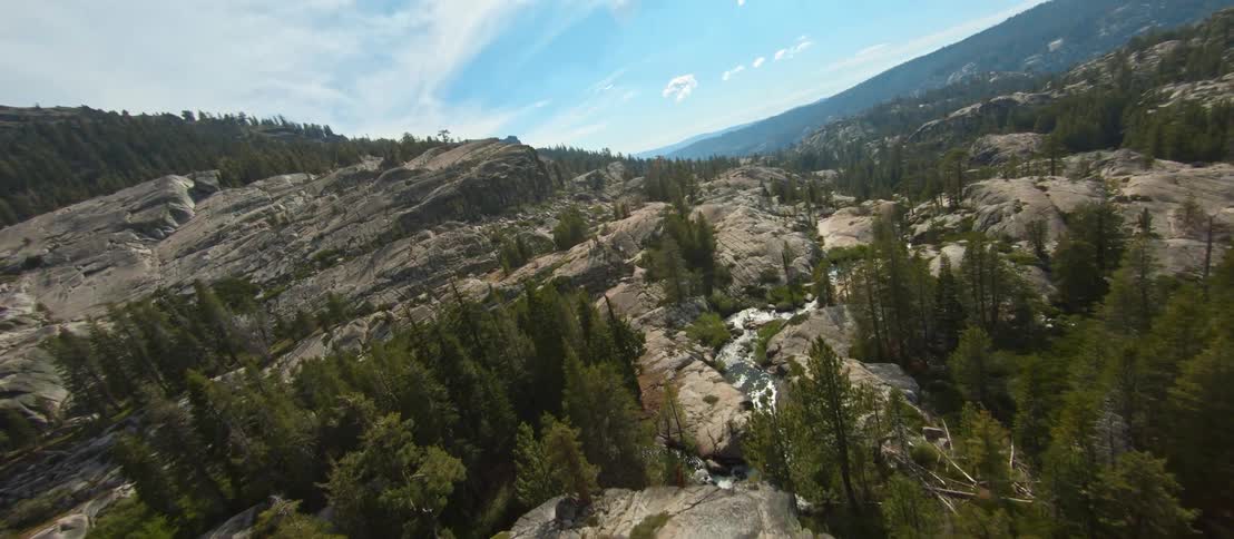 Aerial view of trees and mountainsis displayed