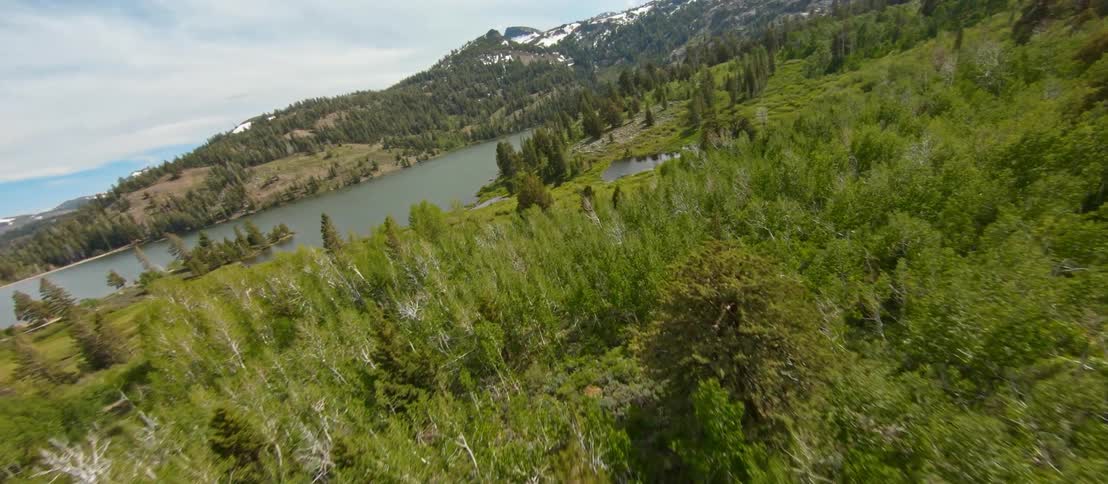 An aerial view of a forest and lake