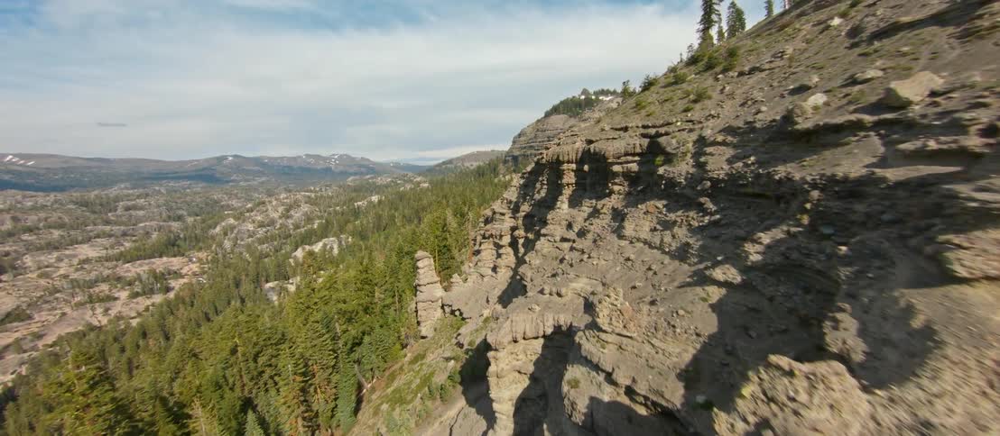 Aerial view of trees on a mountain