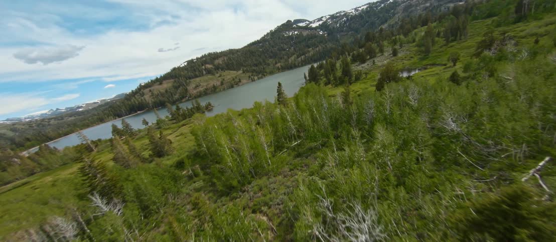 Past the forest is a lake by the mountains