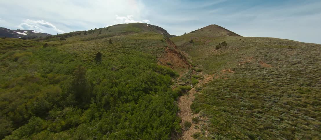 The slope of a grass covered hill