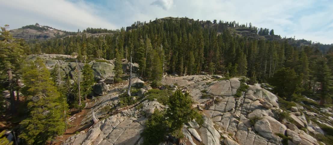 Aerial view of trees covering the mountains is displayed