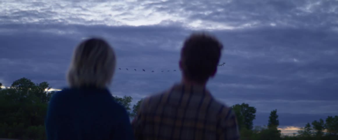 A man and woman watch birds flying across the sky