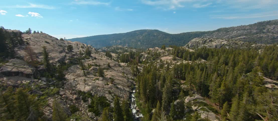 Conifer forest sits on mountains and in valleys stretching to the horizon