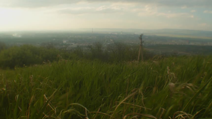 Wind blowing in a grassy field on a hill above a city