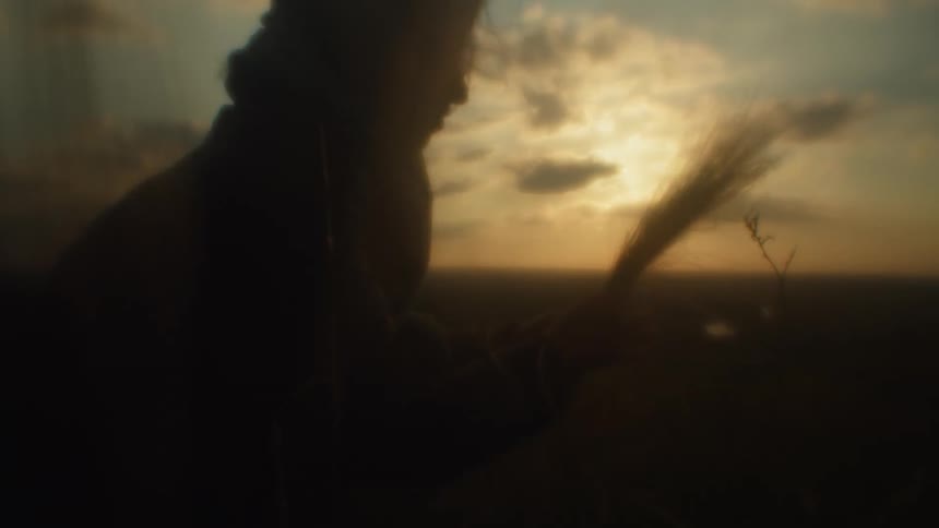 A woman picks wheat in a field