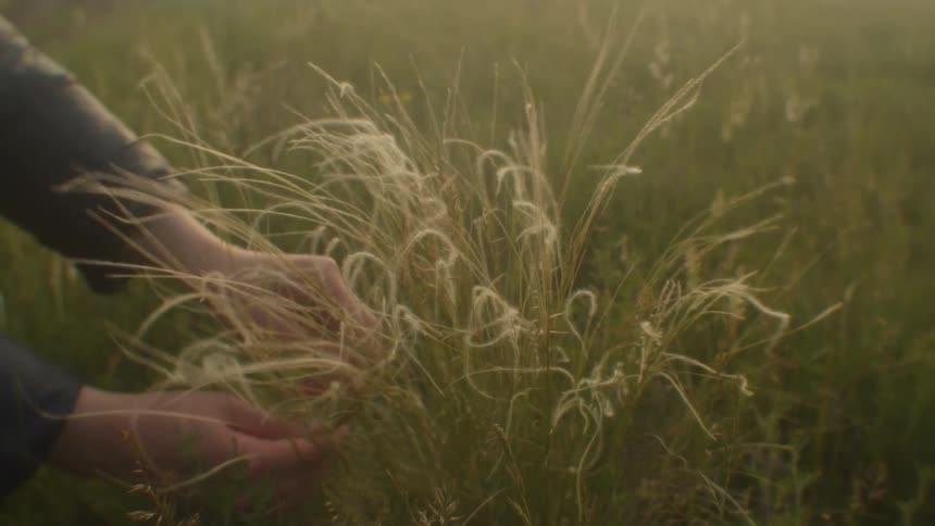 A person is picking at the grass on the field