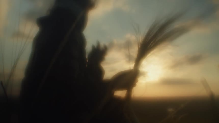 A person is holding hay in their hands on a windy day